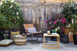 Blog-Roue-ambiance-hiver-Camelias-terrasse-scaled-1