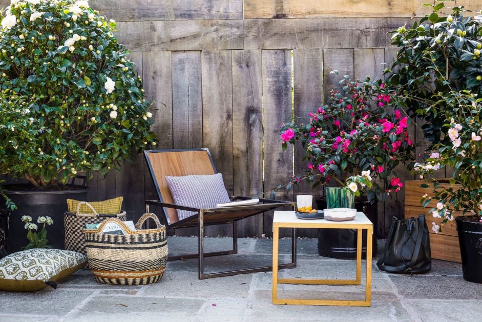 Blog-Roue-ambiance-hiver-Camelias-terrasse-scaled