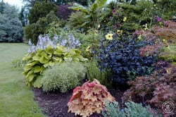 IMFG-blog-Jardin-en-juillet