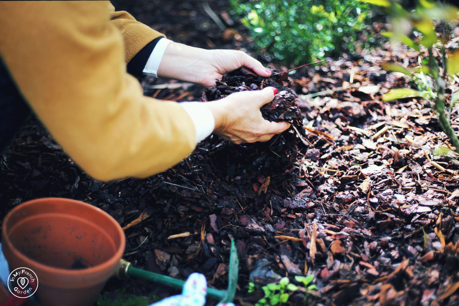 IMFG-entretien-jardin-plantation