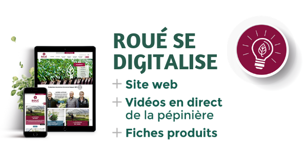 Roue se digitalise