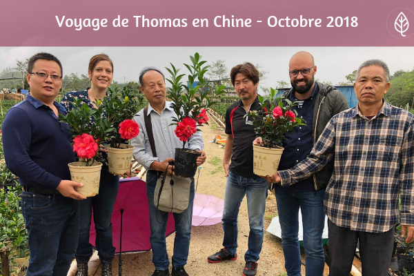 Thomas en chine roue pepinieres