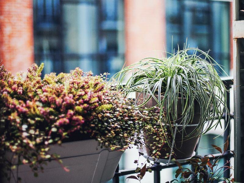 balcon a lombre