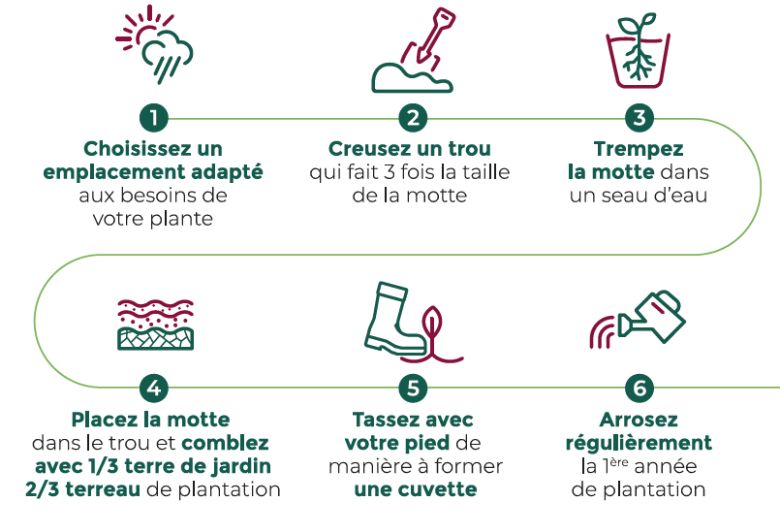 printemps 3 - Roué Pépinières