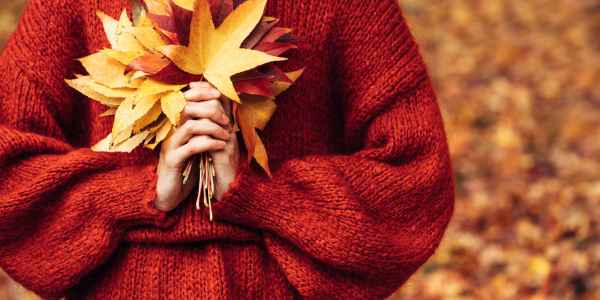 Accueil 210 - Roué Pépinières Préparer son jardin dès l’automne pour mieux résister à la chaleur et à la sécheresse