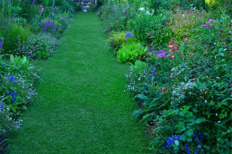 jardin sans entretien