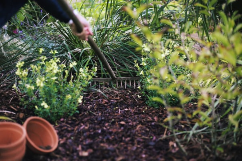 printemps 1 - Roué Pépinières