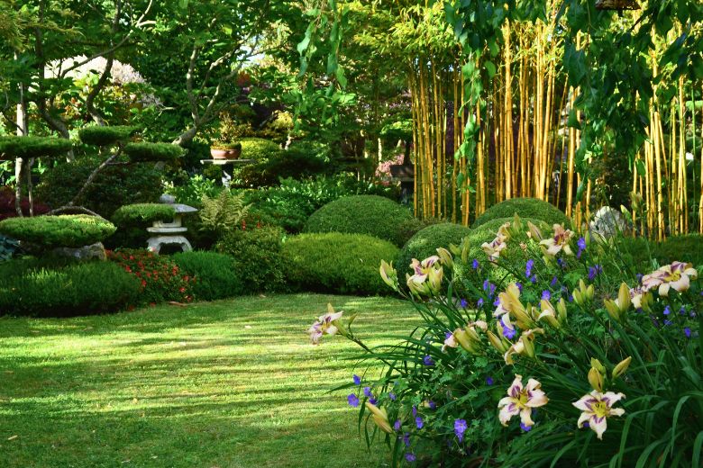 printemps 20 - Roué Pépinières