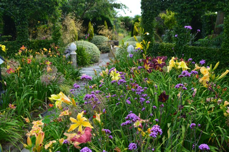 printemps 22 - Roué Pépinières