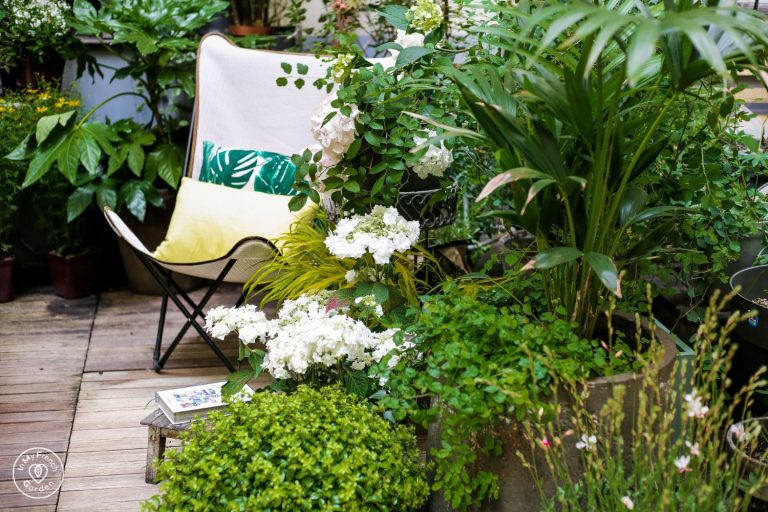 que faire au jardin en juin