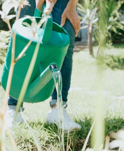 printemps 12 - Roué Pépinières