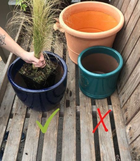 printemps 14 - Roué Pépinières