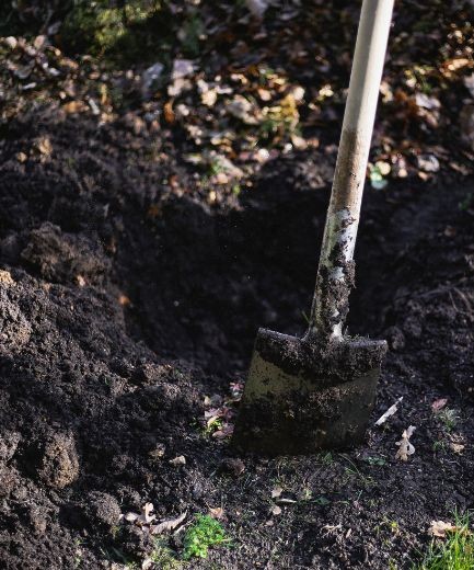 printemps 6 - Roué Pépinières