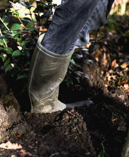 printemps 9 - Roué Pépinières