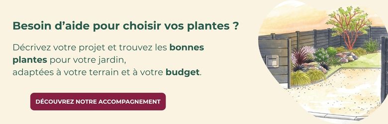 Projet végétal