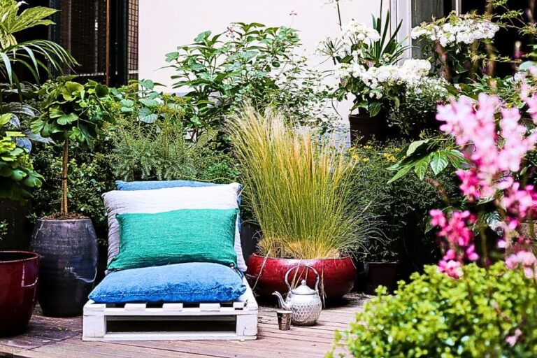 Graminée en pot terrasse